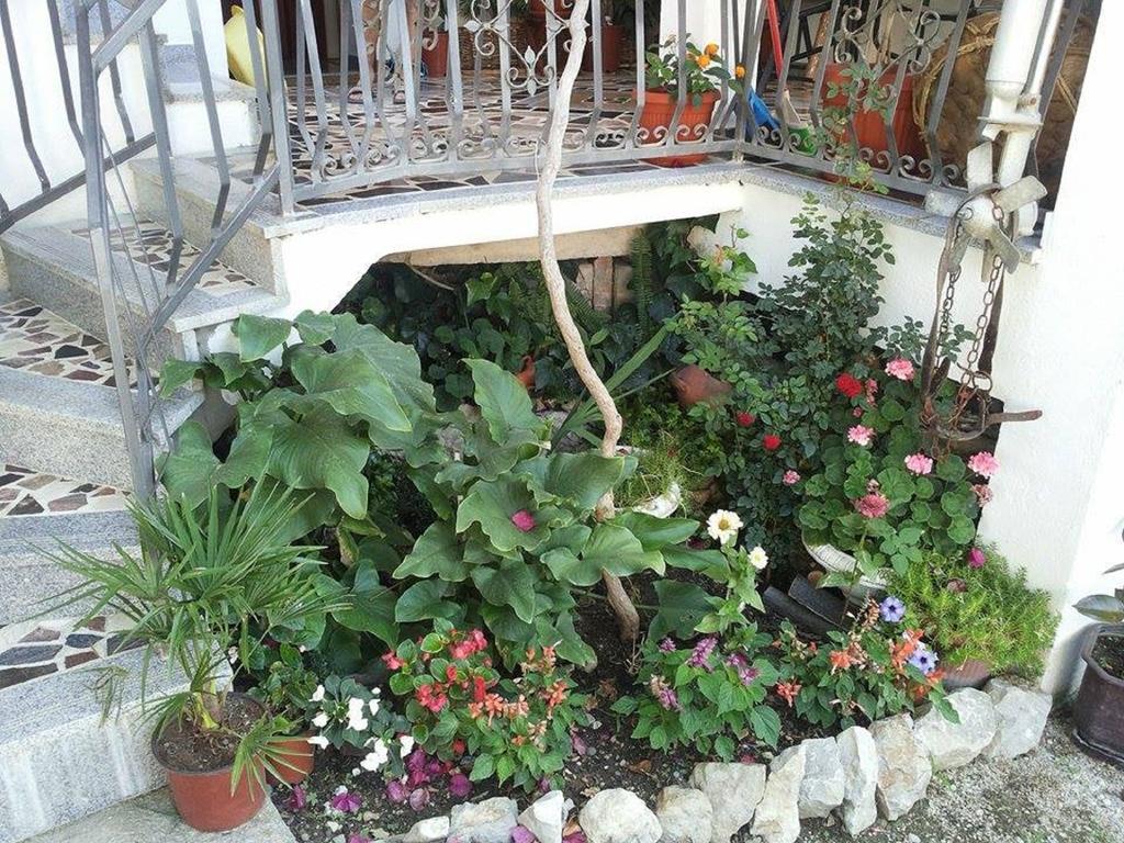 Apartments Blago Сутоморе Экстерьер фото