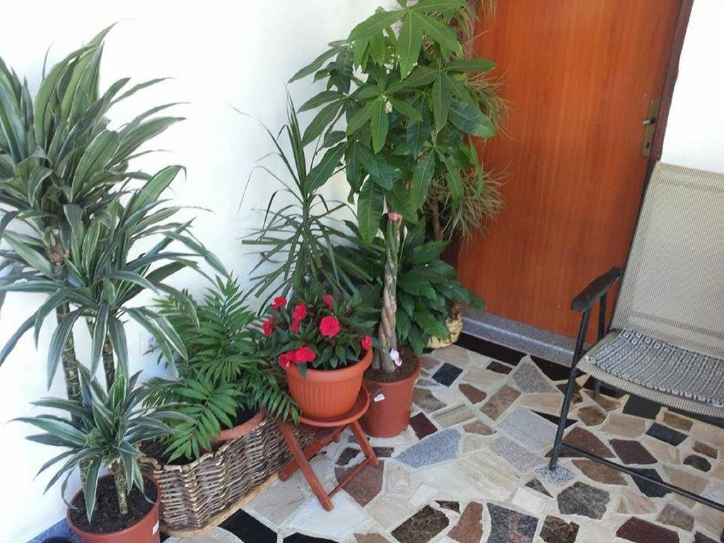 Apartments Blago Сутоморе Экстерьер фото