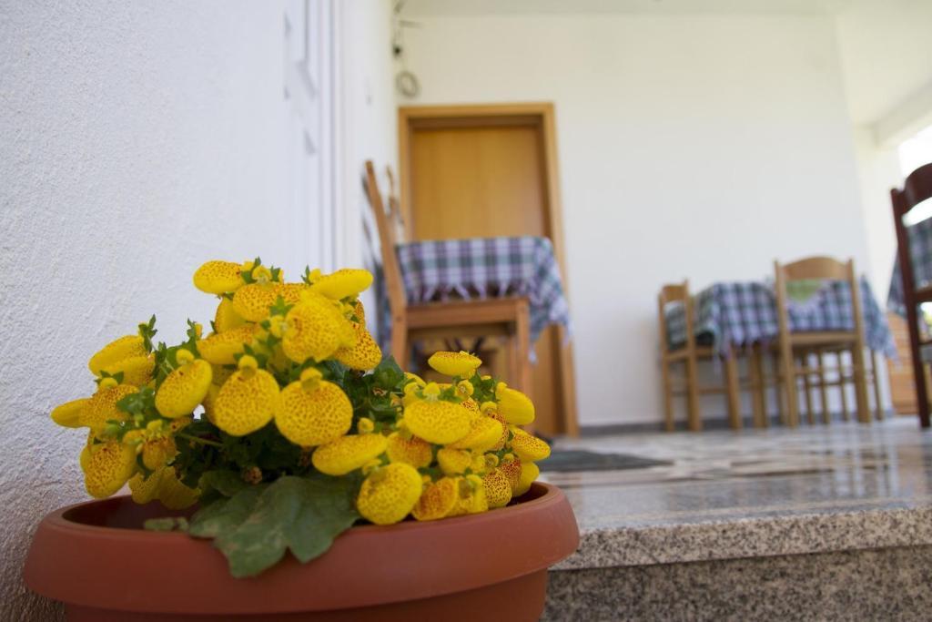 Apartments Blago Сутоморе Экстерьер фото