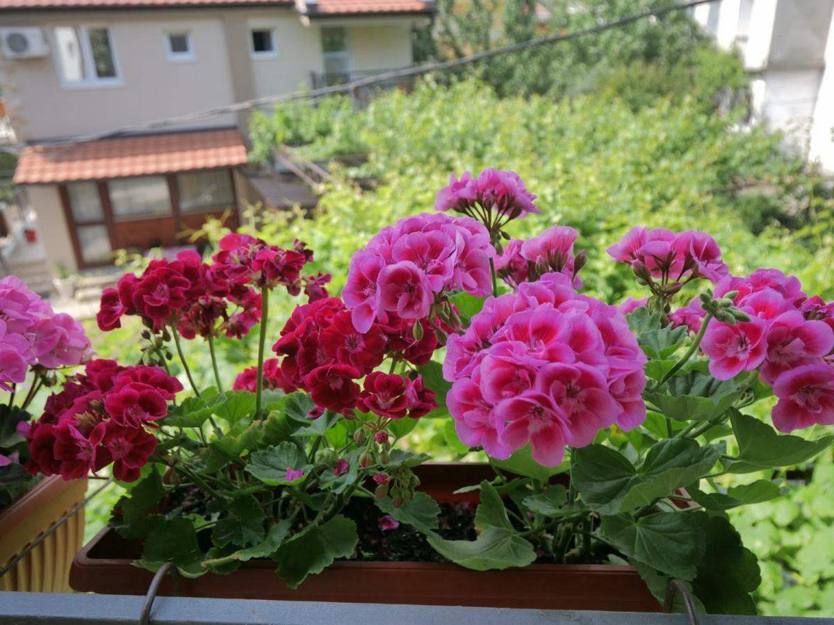 Apartments Blago Сутоморе Экстерьер фото